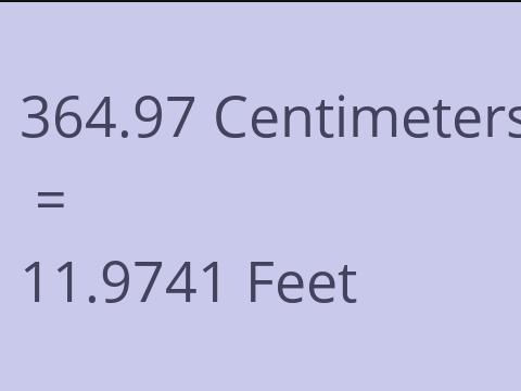 364.97 CM TO FEET