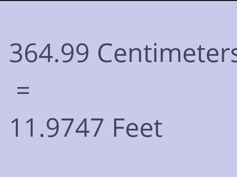 364.99 CM TO FEET