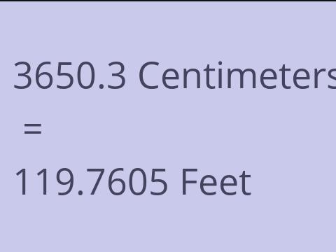 3650.3 CM TO FEET