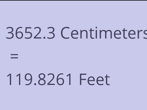 3652.3 CM TO FEET