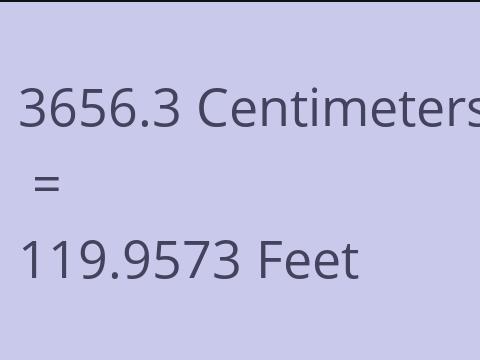 3656.3 CM TO FEET