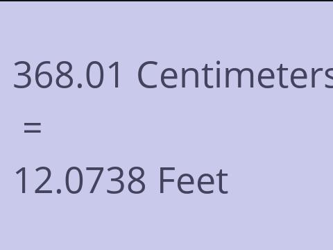 368.01 CM TO FEET