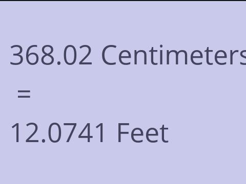 368.02 CM TO FEET