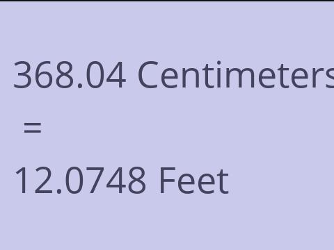 368.04 CM TO FEET