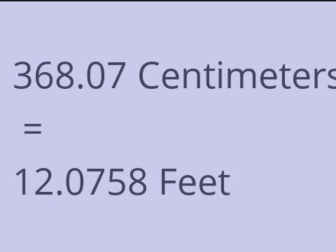 368.07 CM TO FEET