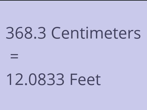 368.3 CM TO FEET