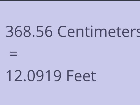 368.56 CM TO FEET