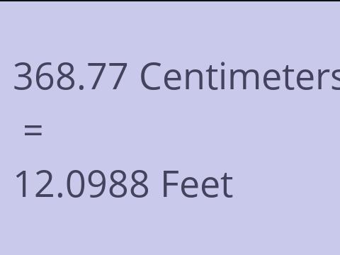 368.77 CM TO FEET