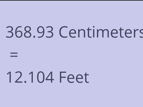 368.93 CM TO FEET