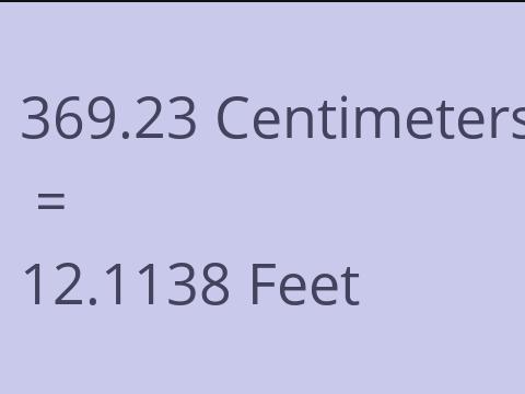 369.23 CM TO FEET