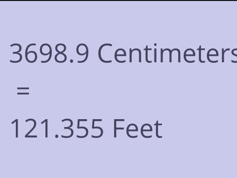 3698.9 CM TO FEET