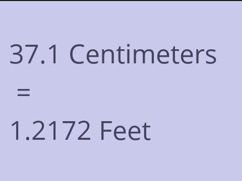 37.1 CM TO FEET