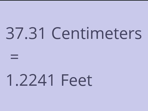 37.31 CM TO FEET