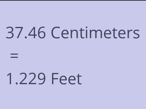 37.46 CM TO FEET