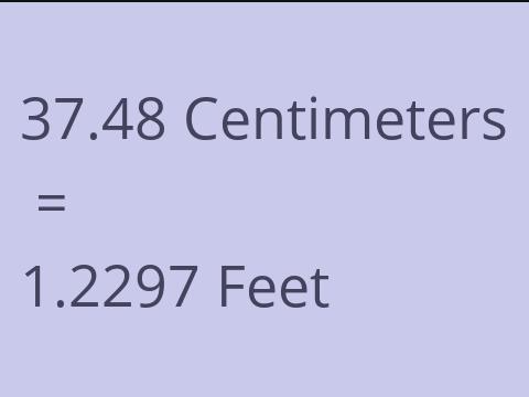 37.48 CM TO FEET