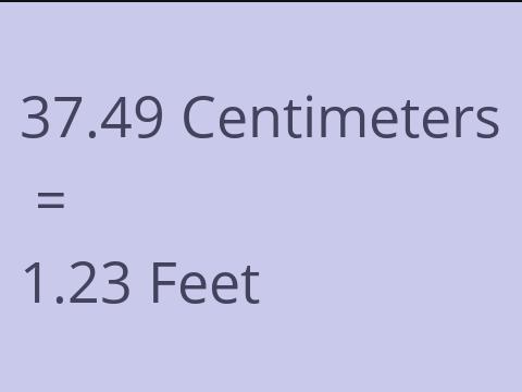 37.49 CM TO FEET