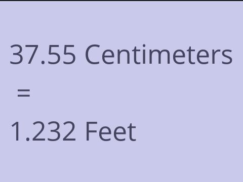 37.55 CM TO FEET