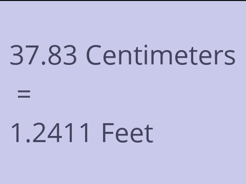 37.83 CM TO FEET