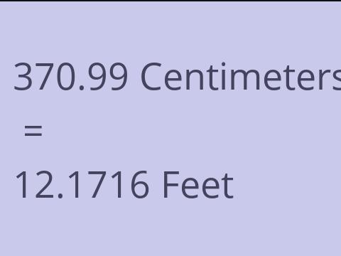 370.99 CM TO FEET