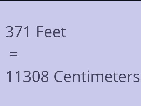 371 FEET TO CM