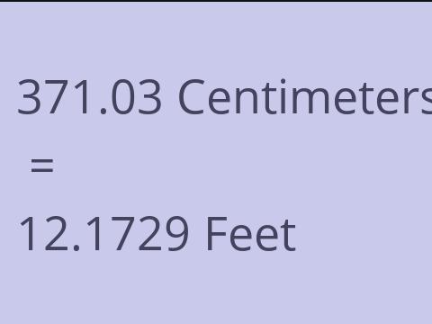 371.03 CM TO FEET