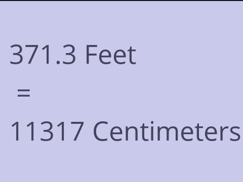 371.3 FEET TO CM