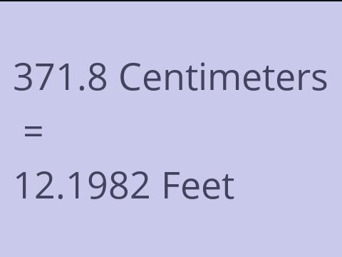 371.8 CM TO FEET