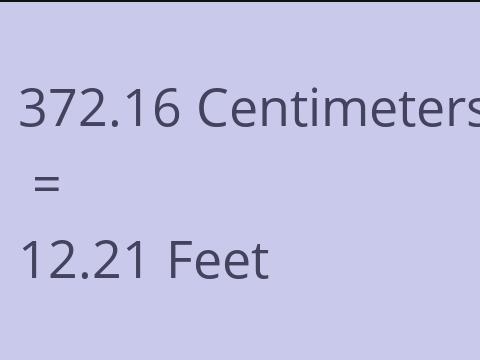 372.16 CM TO FEET