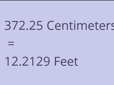 372.25 CM TO FEET