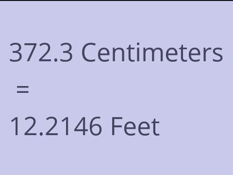 372.3 CM TO FEET