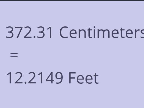 372.31 CM TO FEET