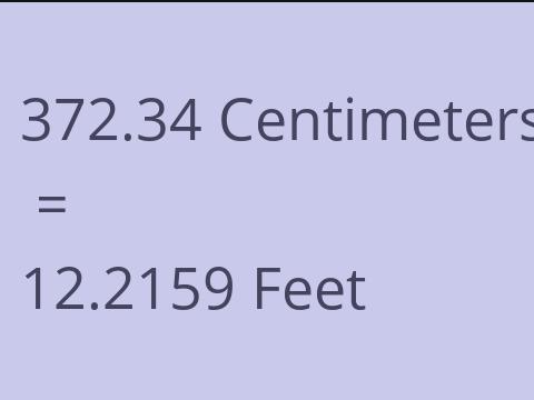 372.34 CM TO FEET