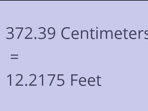 372.39 CM TO FEET