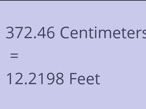 372.46 CM TO FEET