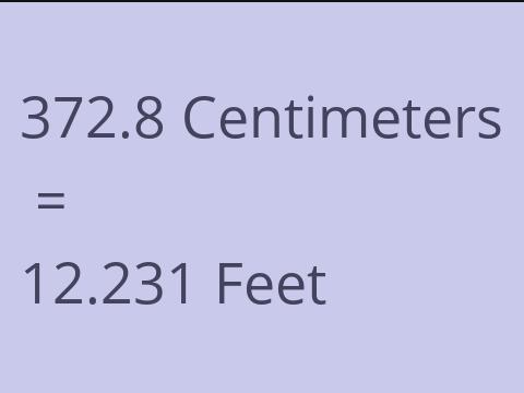 372.8 CM TO FEET