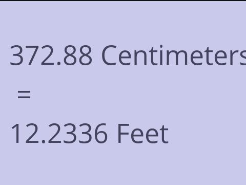 372.88 CM TO FEET