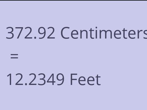 372.92 CM TO FEET