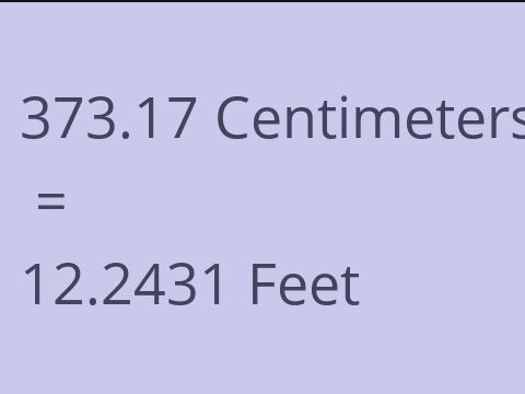 373.17 CM TO FEET