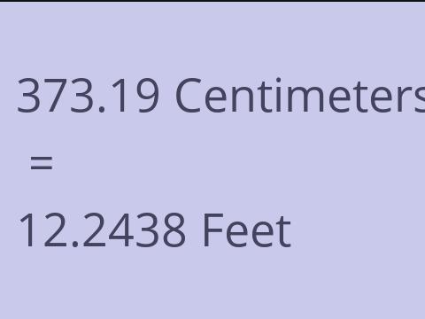 373.19 CM TO FEET