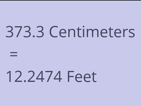 373.3 CM TO FEET