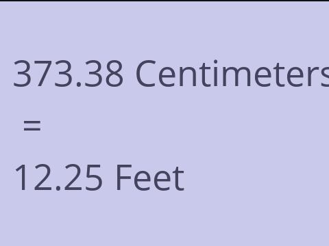 373.38 CM TO FEET