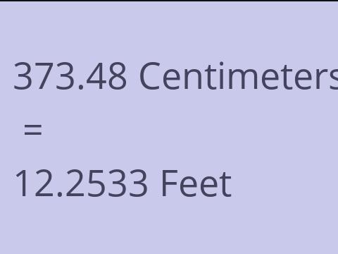 373.48 CM TO FEET