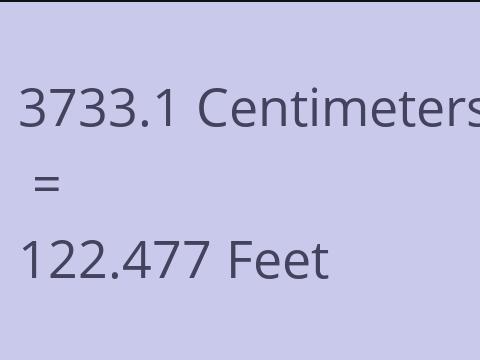 3733.1 CM TO FEET