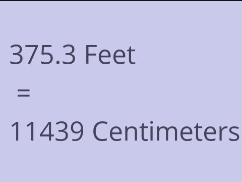 375.3 FEET TO CM