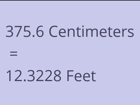 375.6 CM TO FEET