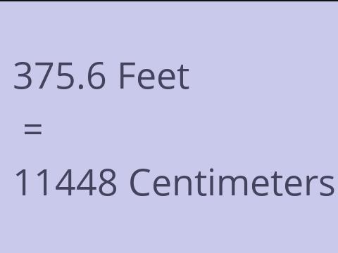 375.6 FEET TO CM