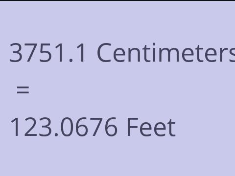 3751.1 CM TO FEET