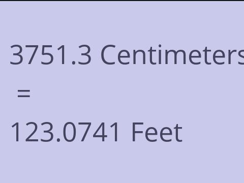 3751.3 CM TO FEET