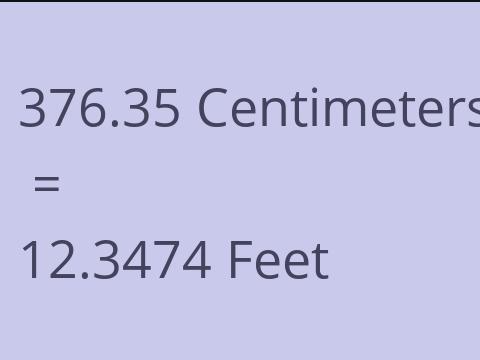 376.35 CM TO FEET