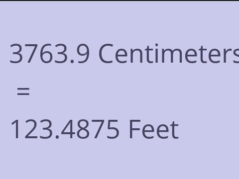 3763.9 CM TO FEET